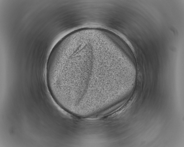 X0000110941343200907101239