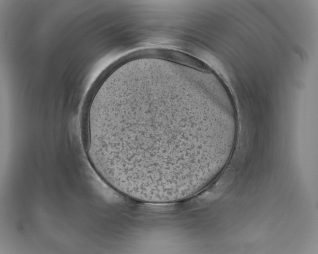 X0000110941344200907101239