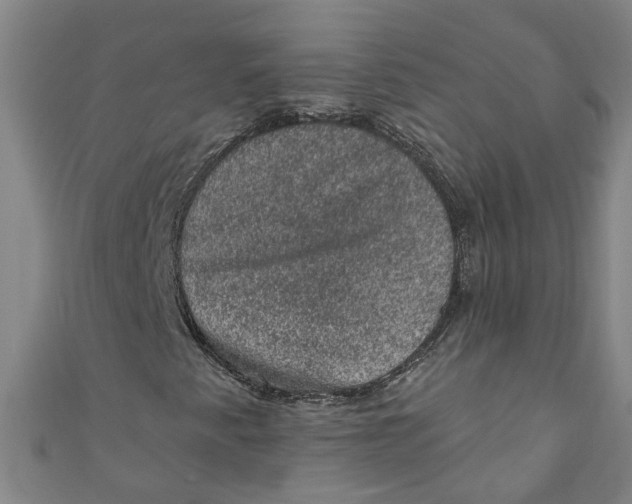 X0000110941345200907101239