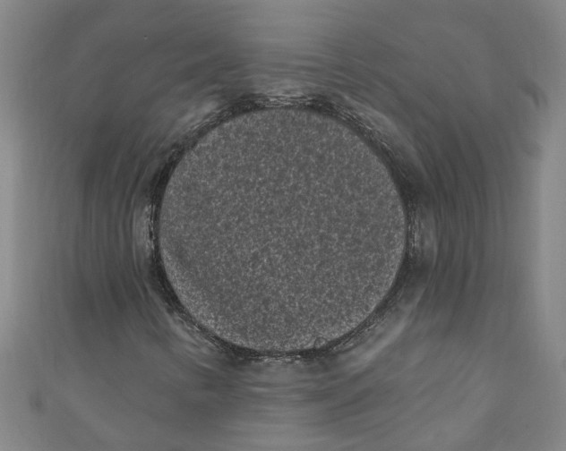 X0000110941346200907101239