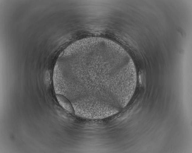 X0000110941347200907101239