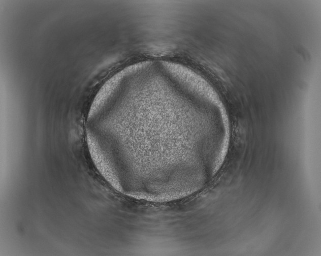 X0000110941349200907101239