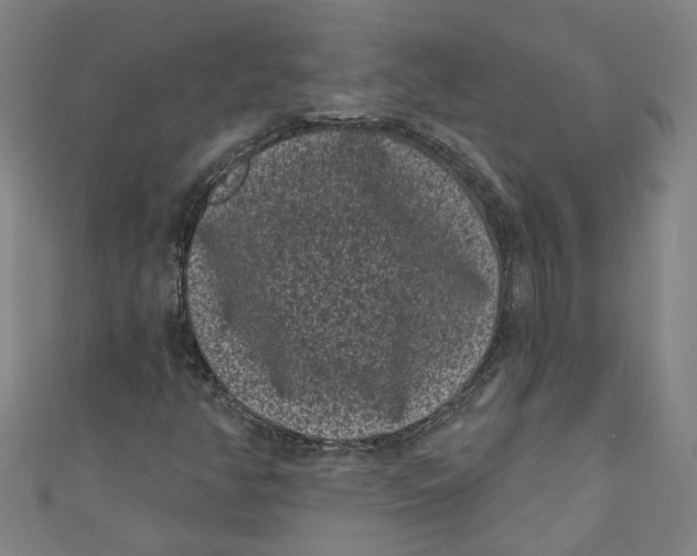 X0000110941350200907101239