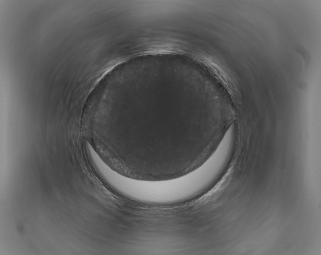 X0000110941353200907101238