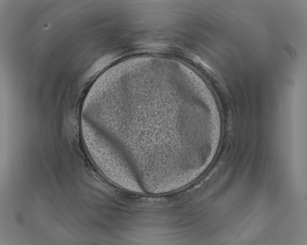 X0000110941354200907101238