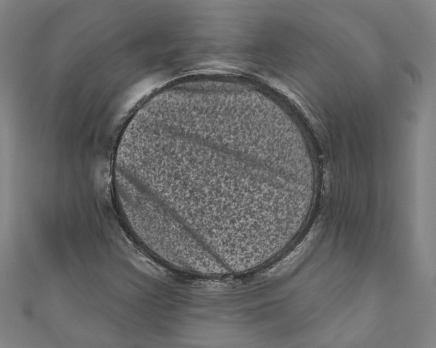 X0000110941355200907101238