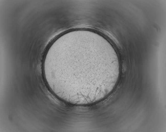 X0000110941356200907101238