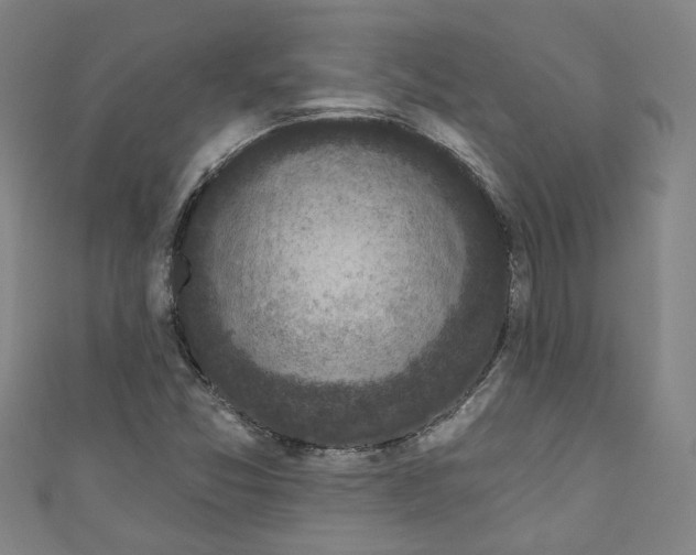 X0000110941357200907101238