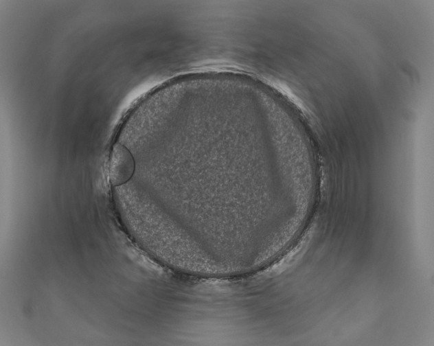 X0000110941358200907101238