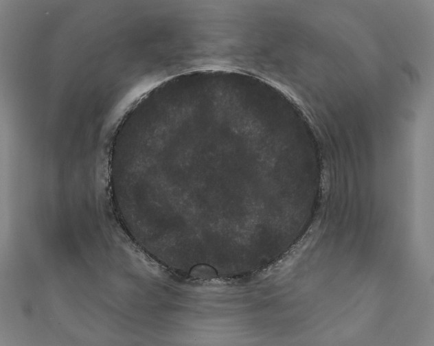 X0000110941359200907101238