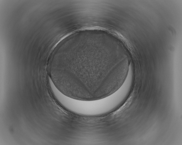 X0000110941361200907101238