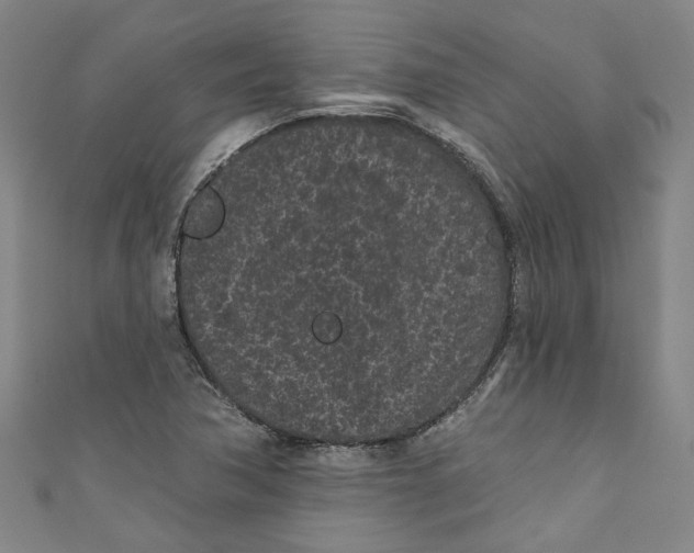 X0000110941362200907101238