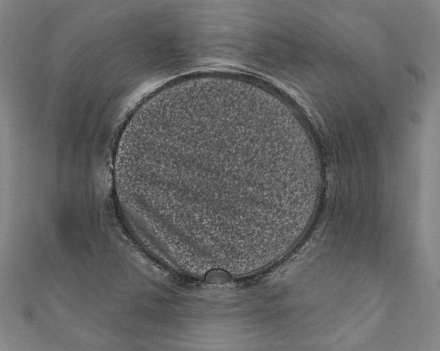 X0000110941363200907101238