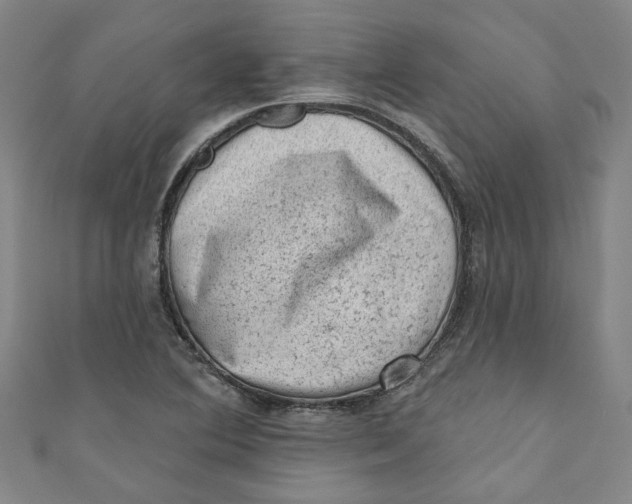 X0000110941364200907101238