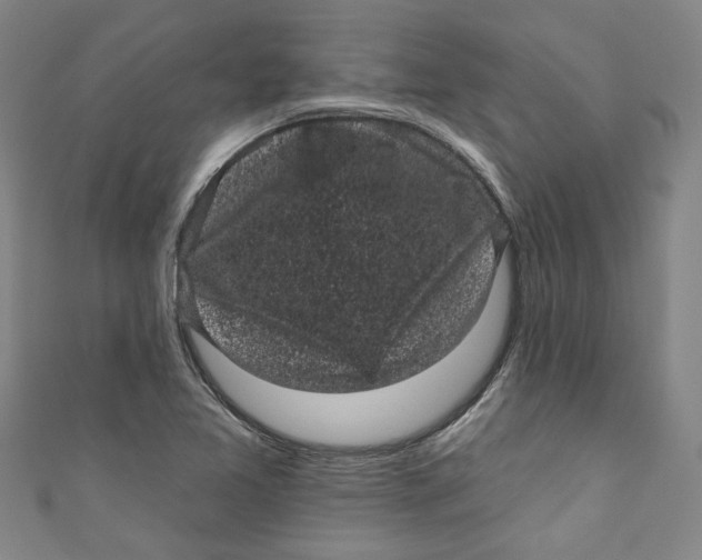 X0000110941365200907101238