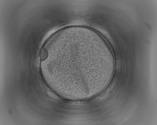 X0000110941366200907101238