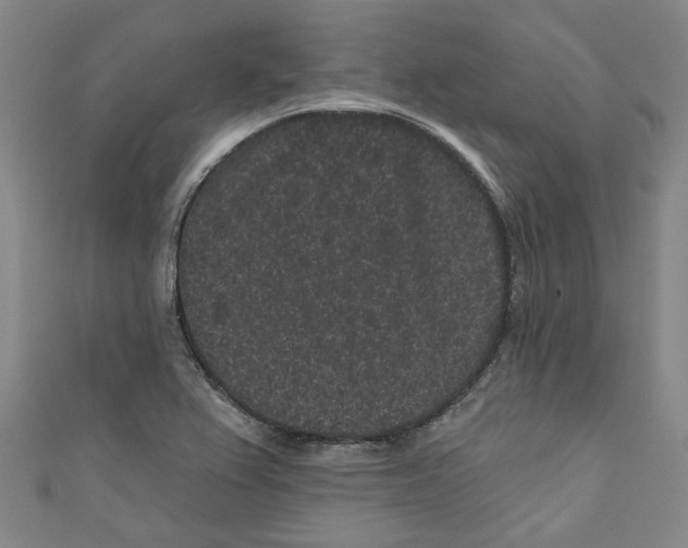 X0000110941367200907101238