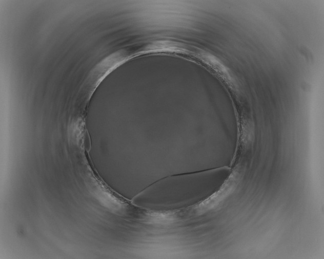 X0000110941369200907101238