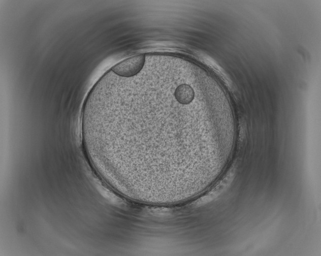 X0000110941370200907101238