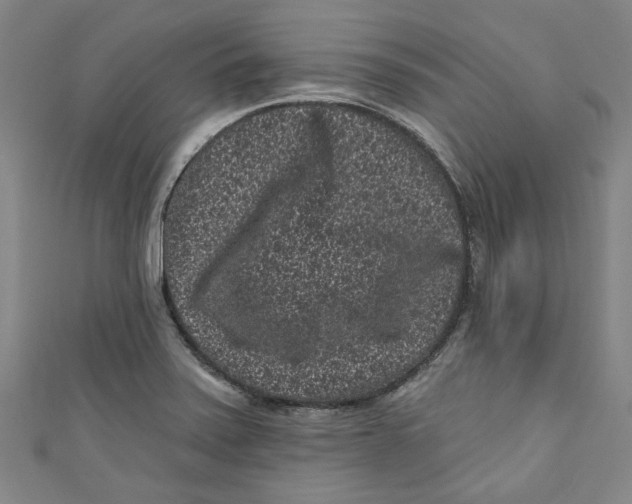 X0000110941371200907101238