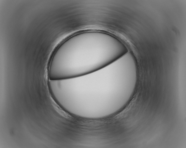 X0000110941372200907101238