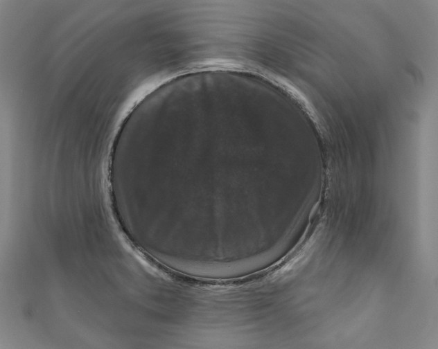 X0000110941373200907101238