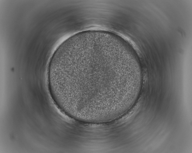 X0000110941375200907101238