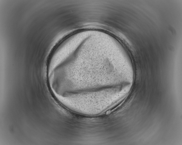 X0000110941376200907101238