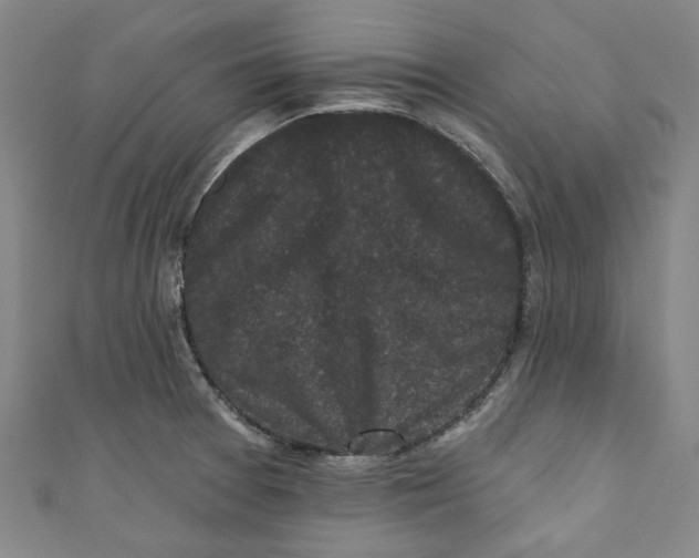 X0000110941377200907101238