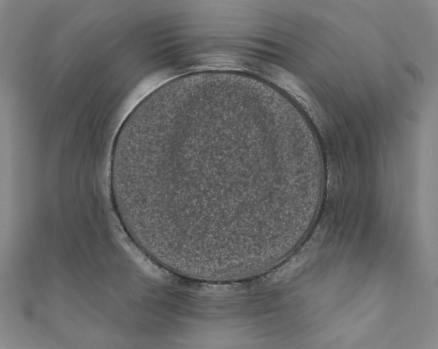 X0000110941378200907101238