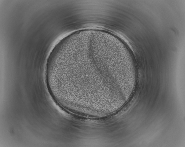 X0000110941379200907101238