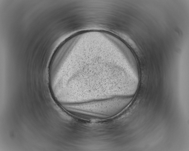 X0000110941380200907101238