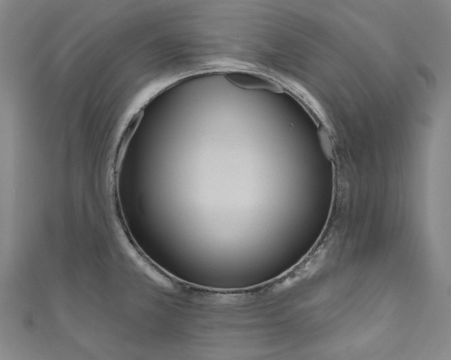 X0000110941381200907101238