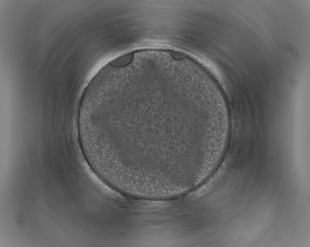 X0000110941382200907101238