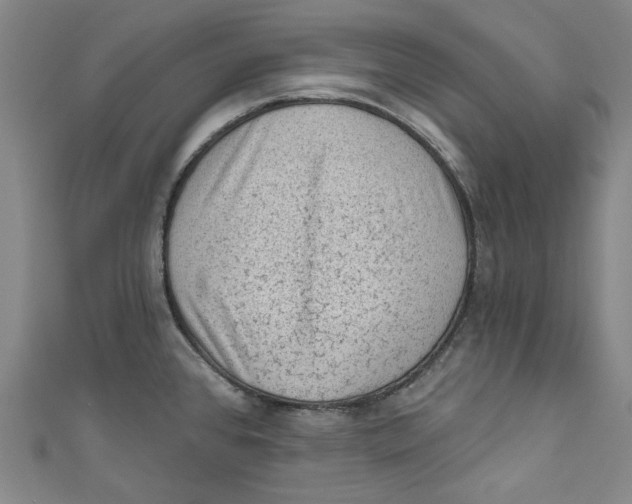 X0000110941384200907101238