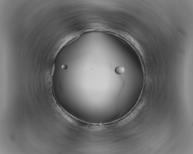 X0000110941385200907101238