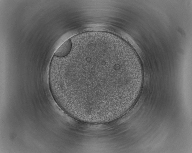 X0000110941386200907101238