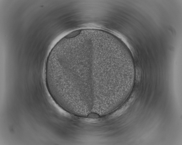 X0000110941387200907101238