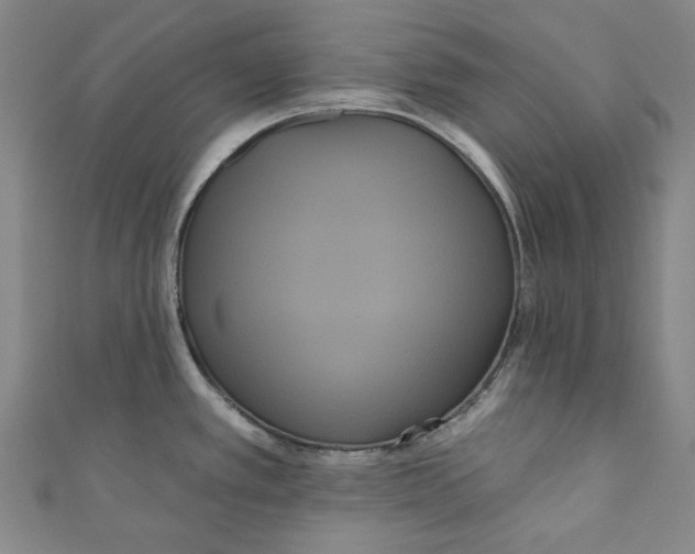 X0000110941389200907101238