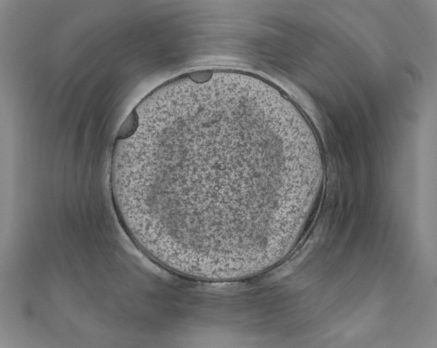 X0000110941390200907101238