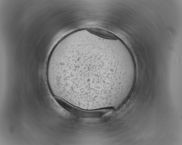 X0000110941392200907101238