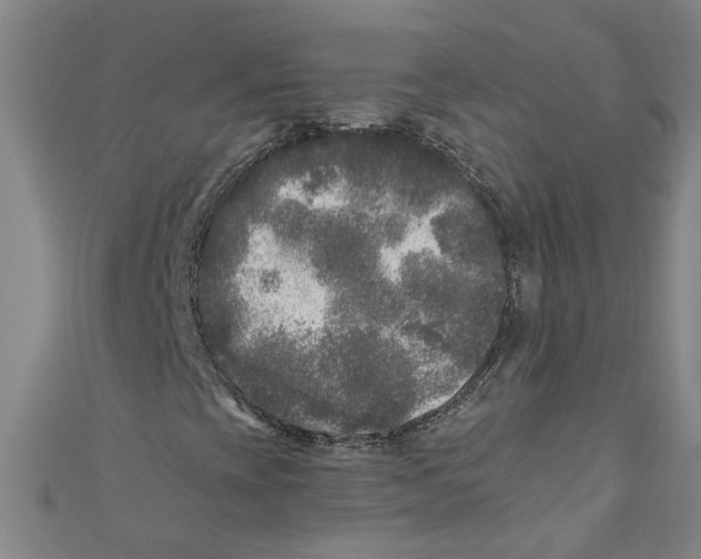 X0000110941393200907101237