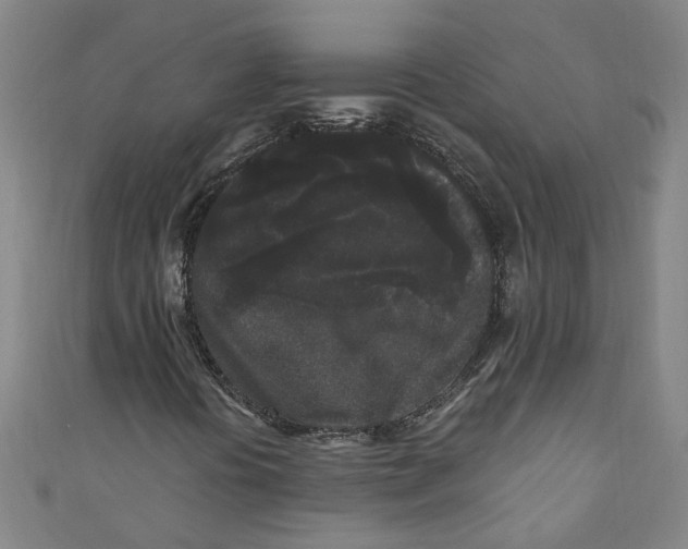 X0000110941394200907101237