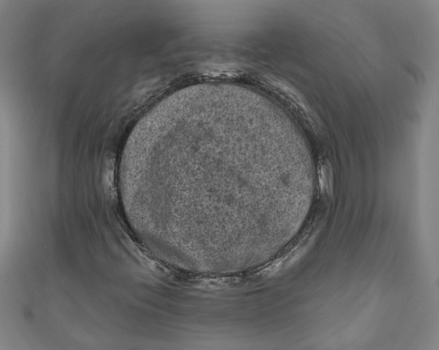 X0000110941396200907101237