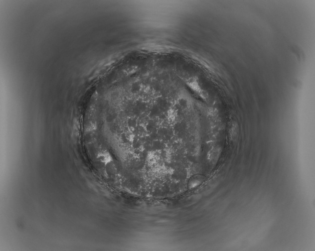 X0000110941397200907101237