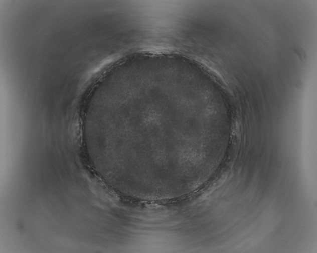 X0000110941398200907101237