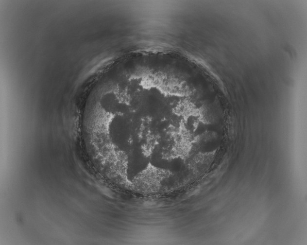 X0000110941399200907101237