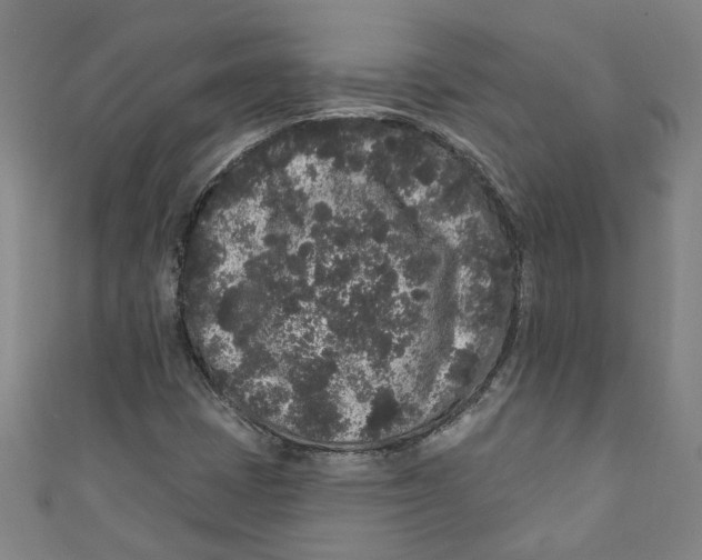 X0000110941401200907101237