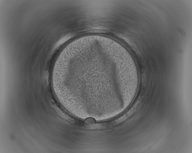 X0000110941402200907101237