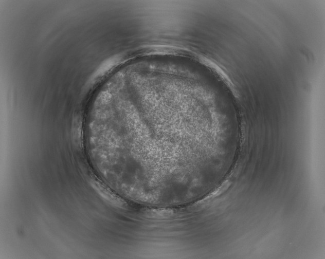 X0000110941403200907101238